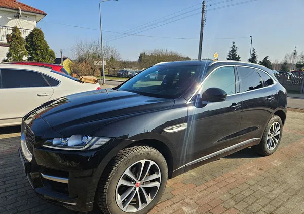 jaguar wielkopolskie Jaguar F-Pace cena 109900 przebieg: 112000, rok produkcji 2017 z Szamocin